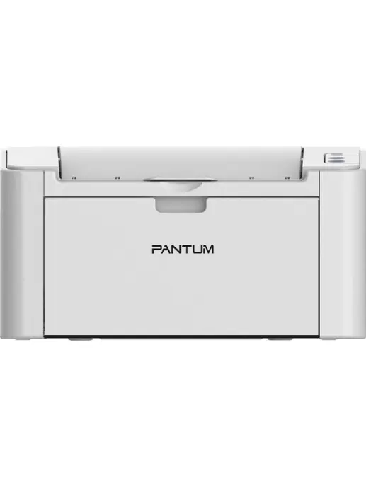 Принтер лазерный Pantum P2200